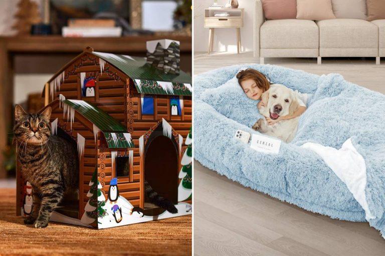 Here are this year’s top gifts to show your pets how much you care